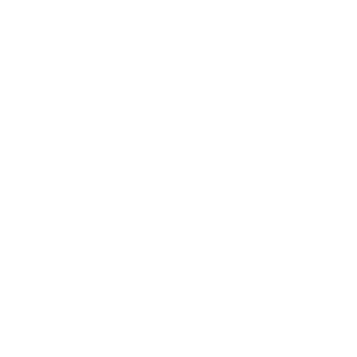 Budget icon